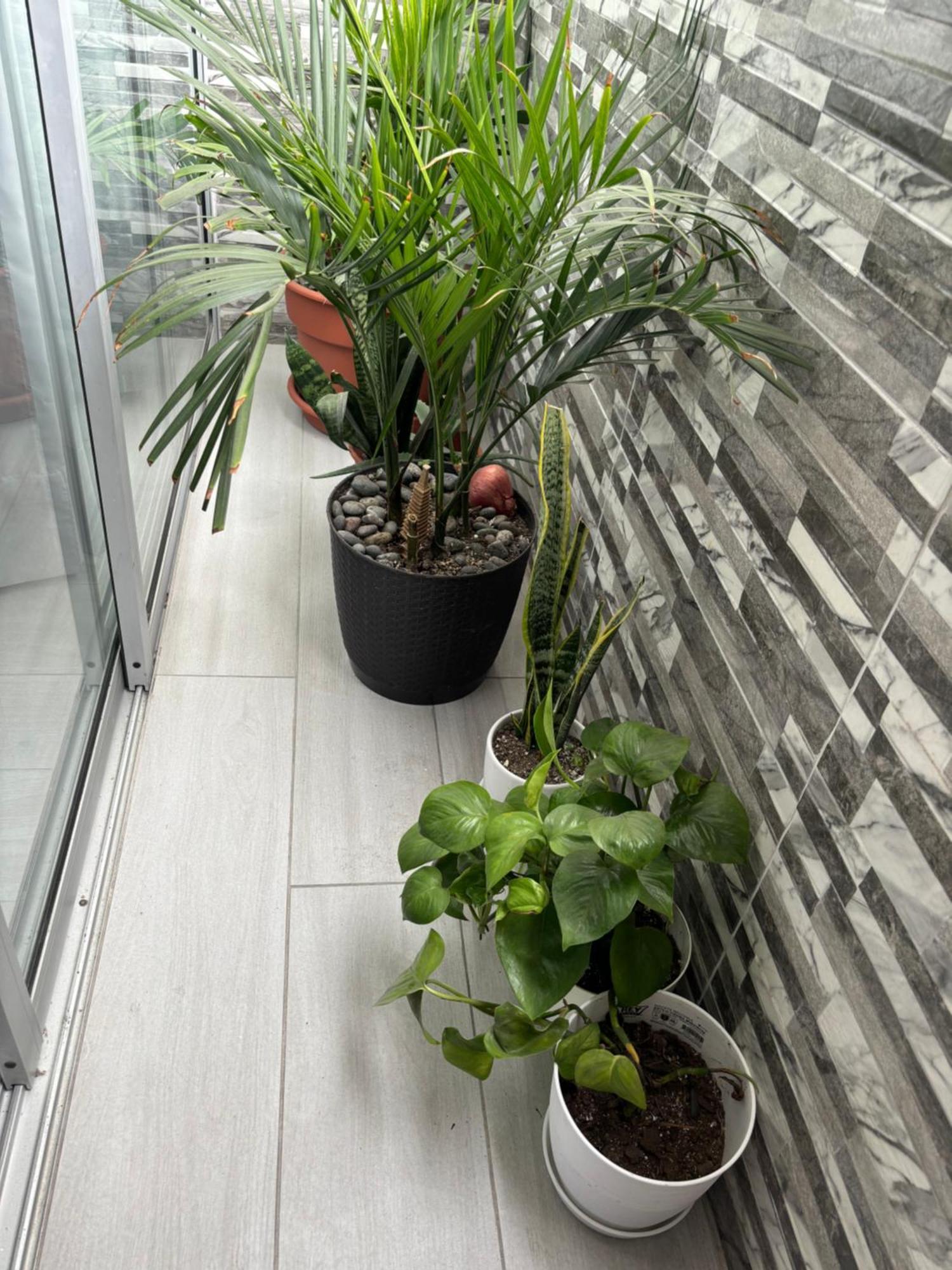Departamento En Miraflores Con Surquillo Lima Ngoại thất bức ảnh